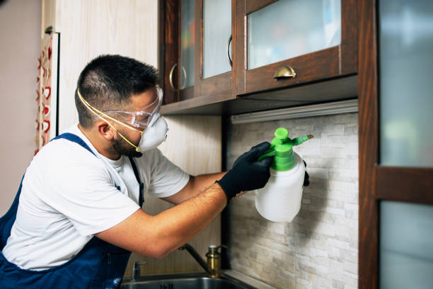 Best Flea Control Services  in Algonquin, MD