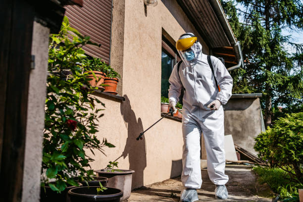 Best Affordable Pest Control Services  in Algonquin, MD