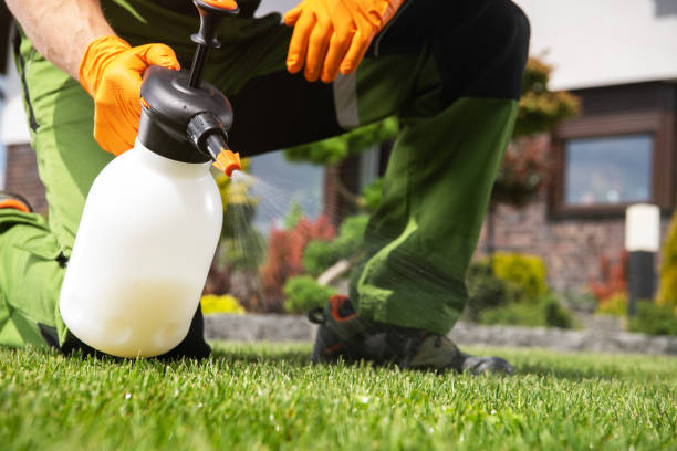 Best Local Pest Control Services  in Algonquin, MD