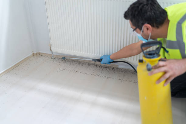 Best Pest Inspection Near Me  in Algonquin, MD
