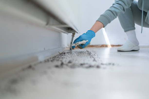 Algonquin, MD Pest Control Company