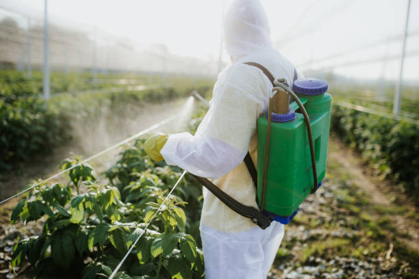Best Best Pest Control Companies  in Algonquin, MD